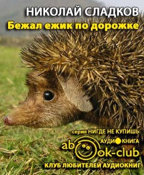 Сладков Николай - Бежал ежик по дорожке