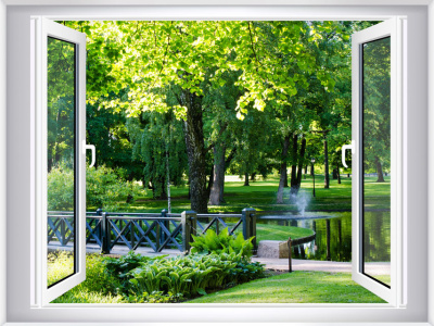 Орвис Джейн - Окно