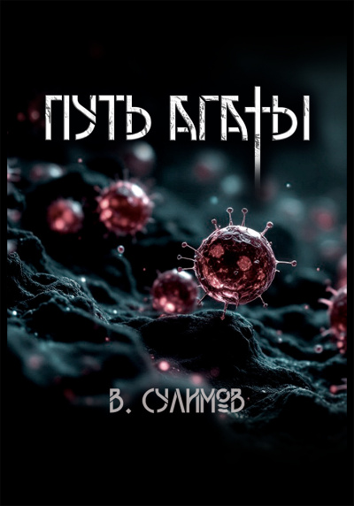 Сулимов Владимир – Путь Агаты